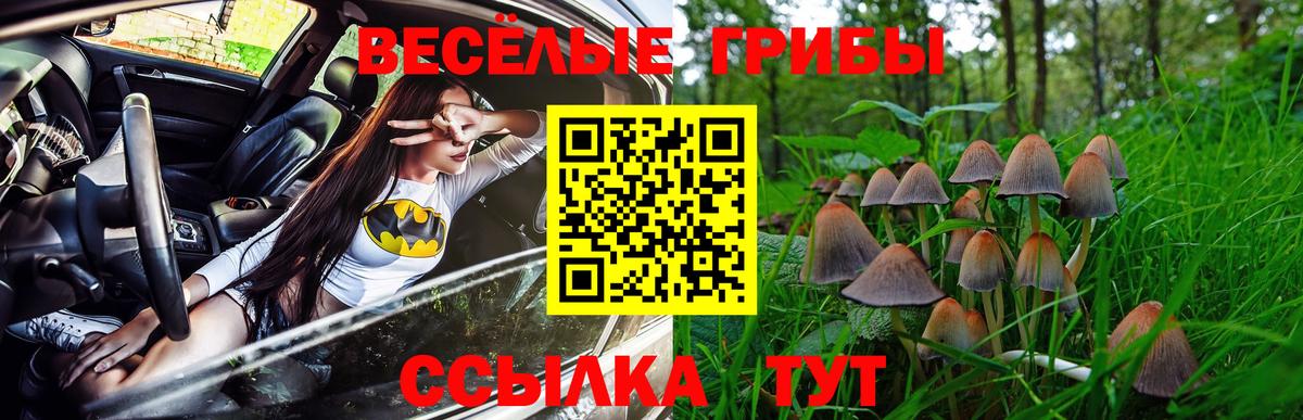 Псилоцибиновые грибы Psilocybine cubensis  Вход с VPN  Саянск 